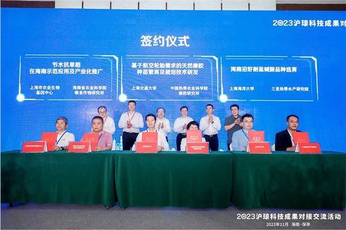 聚焦全球对话窗口 从单店营收过亿看2023君澜TOP级会议与艺术活动交流的效益与口碑双增长