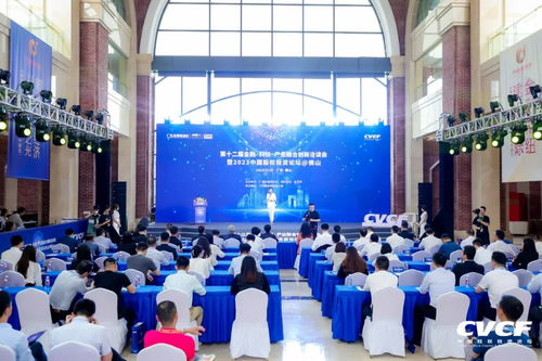 资本赋能再提速 广东金融高新区千亿基金入局北交所，艺术交流构筑产融新生态